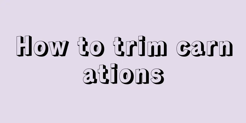 How to trim carnations