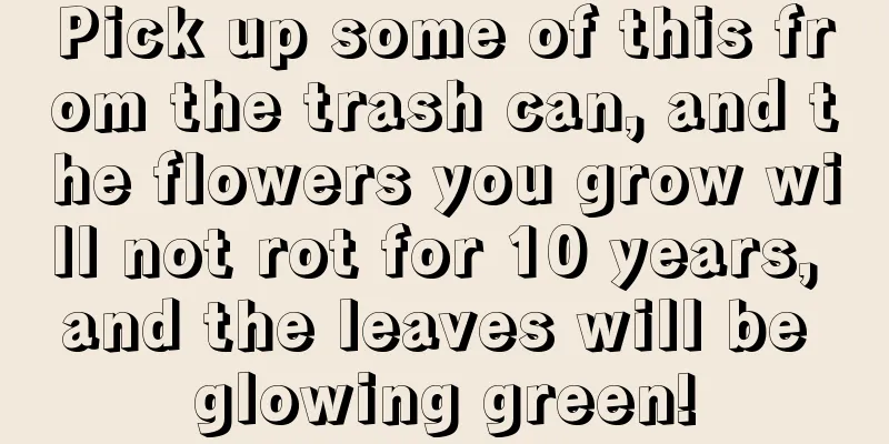 Pick up some of this from the trash can, and the flowers you grow will not rot for 10 years, and the leaves will be glowing green!