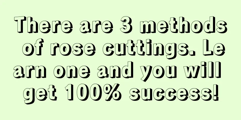 There are 3 methods of rose cuttings. Learn one and you will get 100% success!