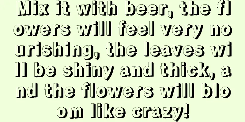 Mix it with beer, the flowers will feel very nourishing, the leaves will be shiny and thick, and the flowers will bloom like crazy!