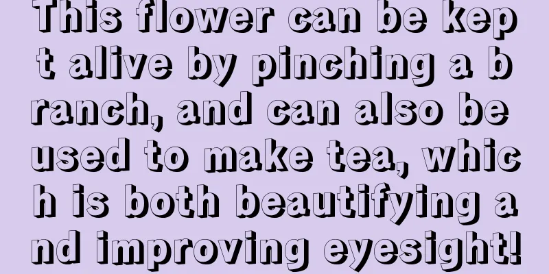 This flower can be kept alive by pinching a branch, and can also be used to make tea, which is both beautifying and improving eyesight!