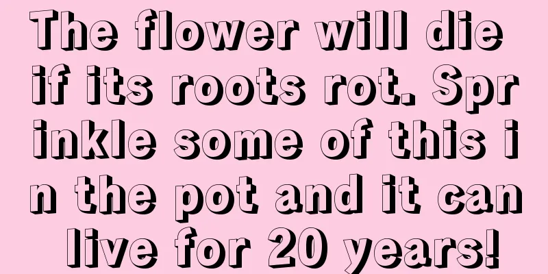 The flower will die if its roots rot. Sprinkle some of this in the pot and it can live for 20 years!