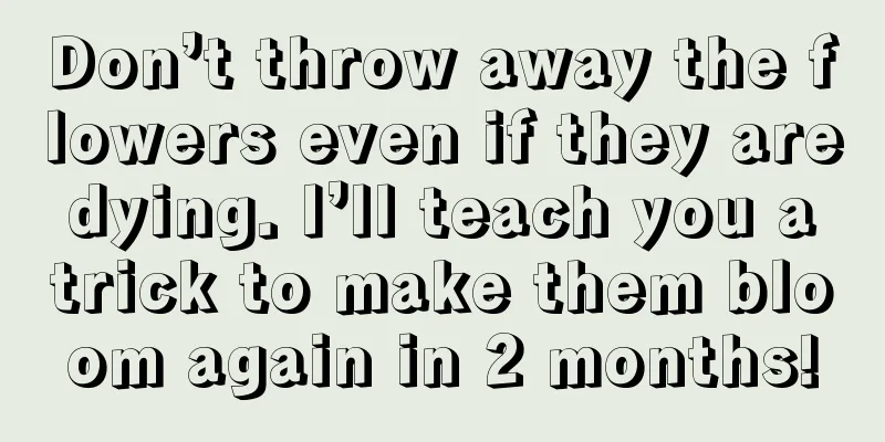 Don’t throw away the flowers even if they are dying. I’ll teach you a trick to make them bloom again in 2 months!