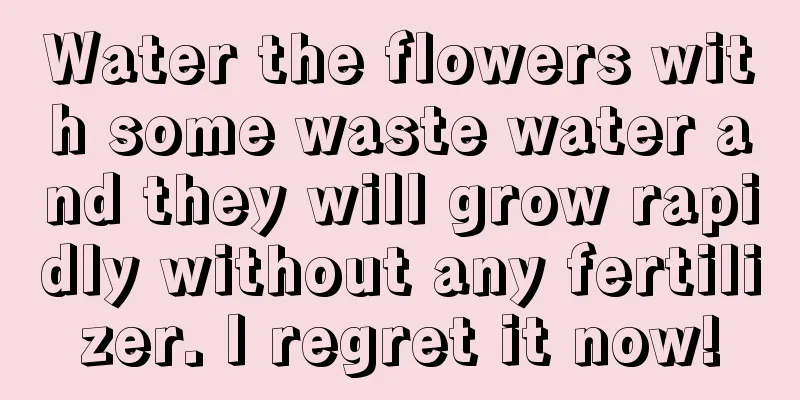 Water the flowers with some waste water and they will grow rapidly without any fertilizer. I regret it now!