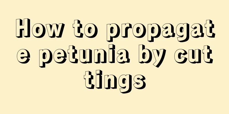 How to propagate petunia by cuttings