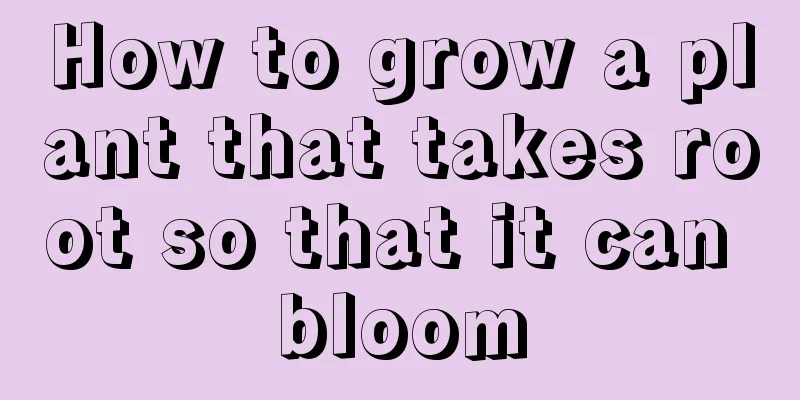 How to grow a plant that takes root so that it can bloom