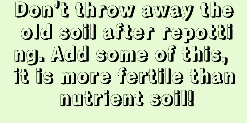 Don’t throw away the old soil after repotting. Add some of this, it is more fertile than nutrient soil!