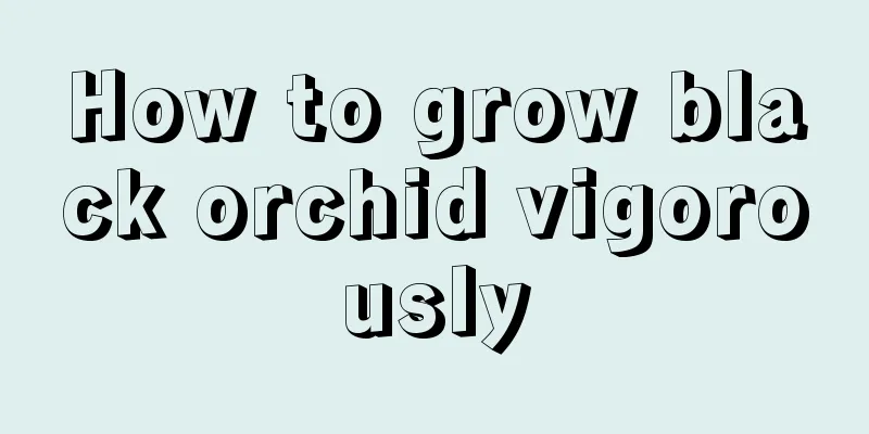 How to grow black orchid vigorously