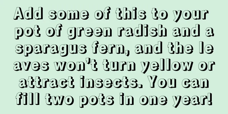 Add some of this to your pot of green radish and asparagus fern, and the leaves won’t turn yellow or attract insects. You can fill two pots in one year!