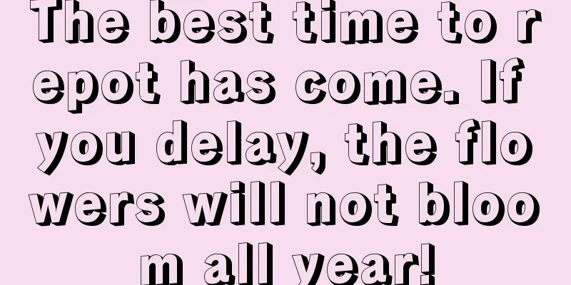 The best time to repot has come. If you delay, the flowers will not bloom all year!