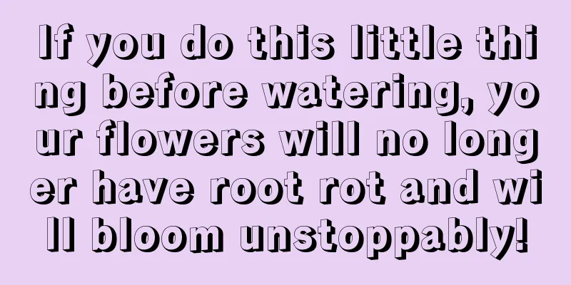 If you do this little thing before watering, your flowers will no longer have root rot and will bloom unstoppably!