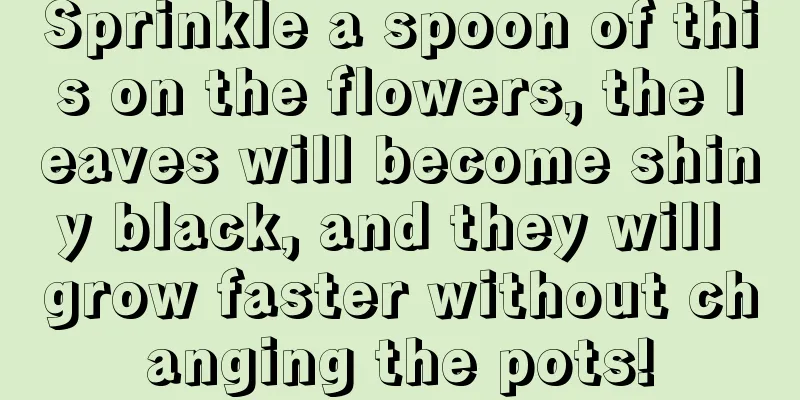 Sprinkle a spoon of this on the flowers, the leaves will become shiny black, and they will grow faster without changing the pots!