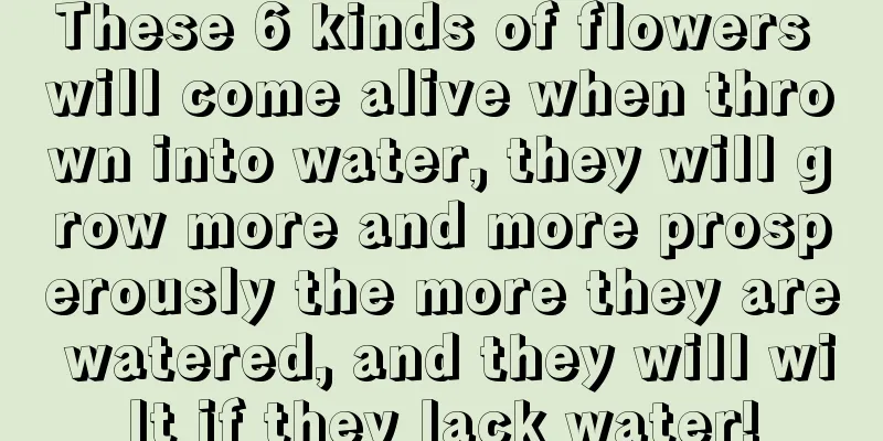 These 6 kinds of flowers will come alive when thrown into water, they will grow more and more prosperously the more they are watered, and they will wilt if they lack water!