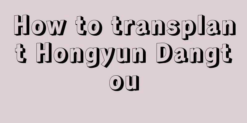 How to transplant Hongyun Dangtou