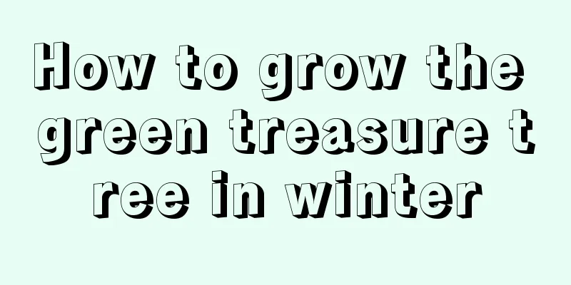 How to grow the green treasure tree in winter