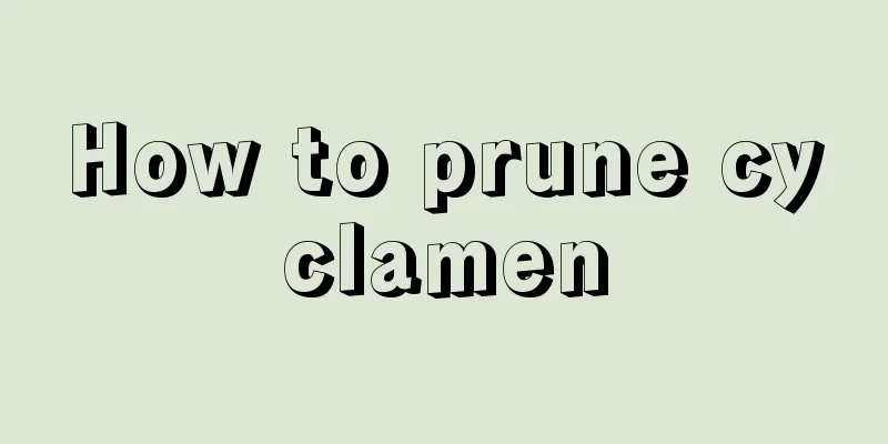 How to prune cyclamen