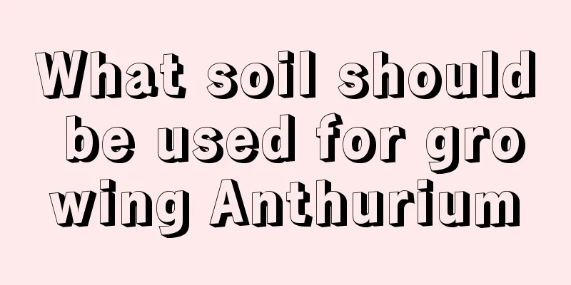 What soil should be used for growing Anthurium