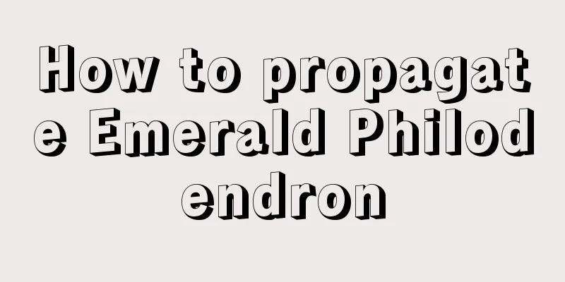 How to propagate Emerald Philodendron