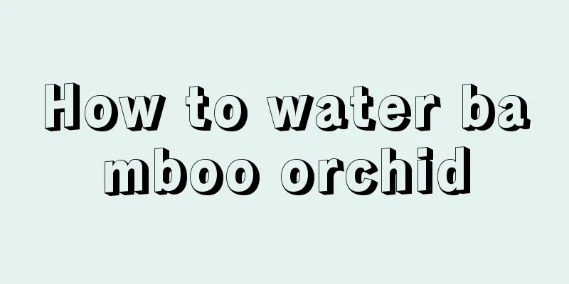 How to water bamboo orchid