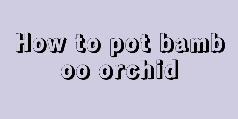 How to pot bamboo orchid