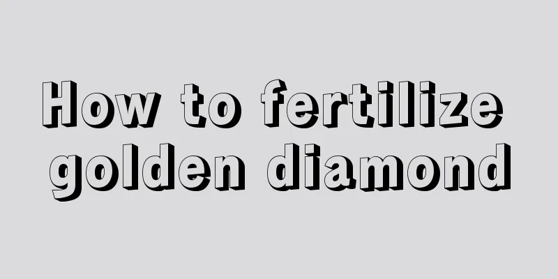 How to fertilize golden diamond