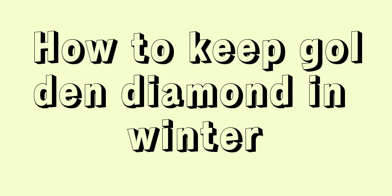 How to keep golden diamond in winter