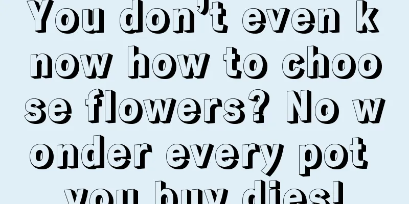 You don’t even know how to choose flowers? No wonder every pot you buy dies!