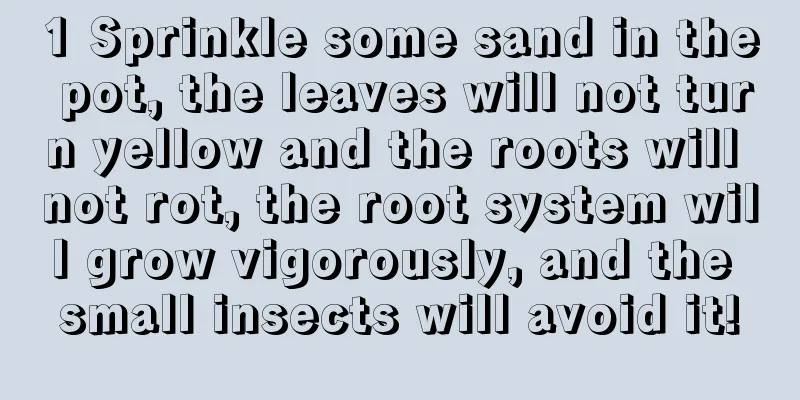 1 Sprinkle some sand in the pot, the leaves will not turn yellow and the roots will not rot, the root system will grow vigorously, and the small insects will avoid it!