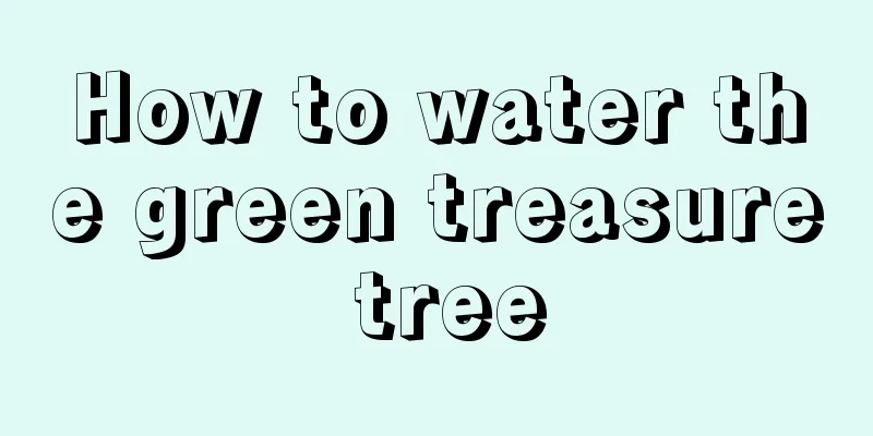 How to water the green treasure tree