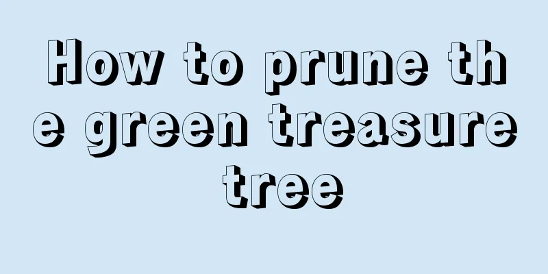 How to prune the green treasure tree