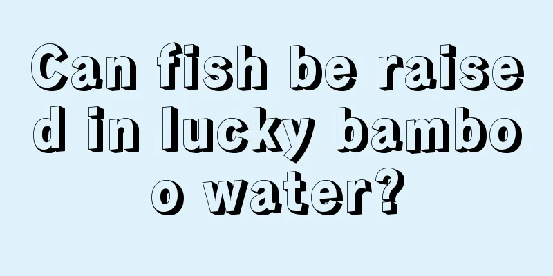 Can fish be raised in lucky bamboo water?