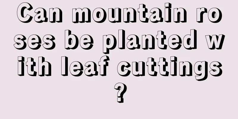 Can mountain roses be planted with leaf cuttings?