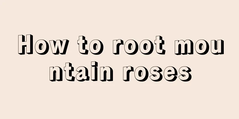 How to root mountain roses