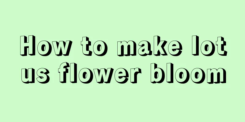 How to make lotus flower bloom