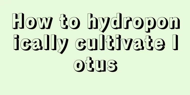 How to hydroponically cultivate lotus