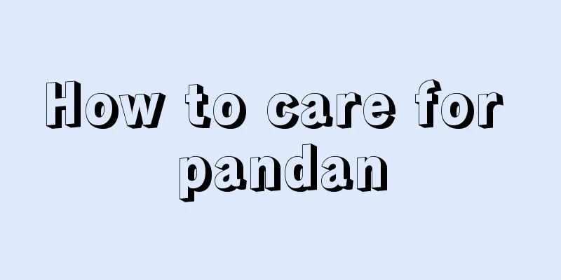 How to care for pandan