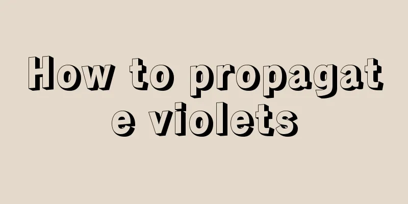 How to propagate violets