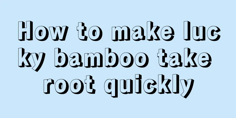 How to make lucky bamboo take root quickly