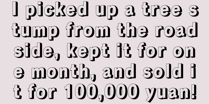 I picked up a tree stump from the roadside, kept it for one month, and sold it for 100,000 yuan!