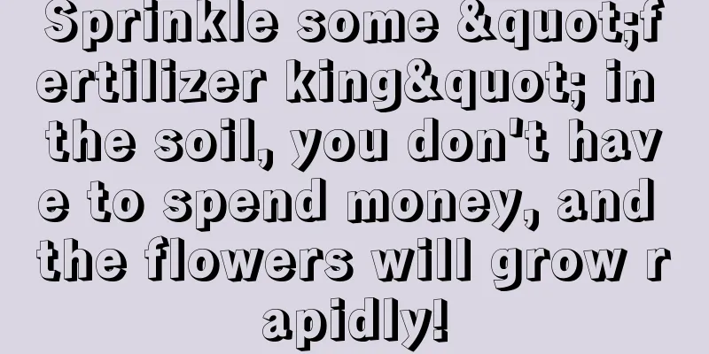 Sprinkle some "fertilizer king" in the soil, you don't have to spend money, and the flowers will grow rapidly!