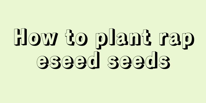 How to plant rapeseed seeds