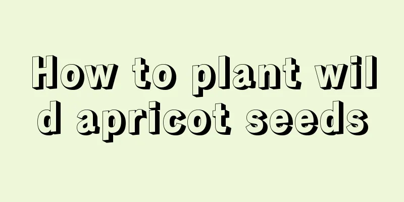 How to plant wild apricot seeds