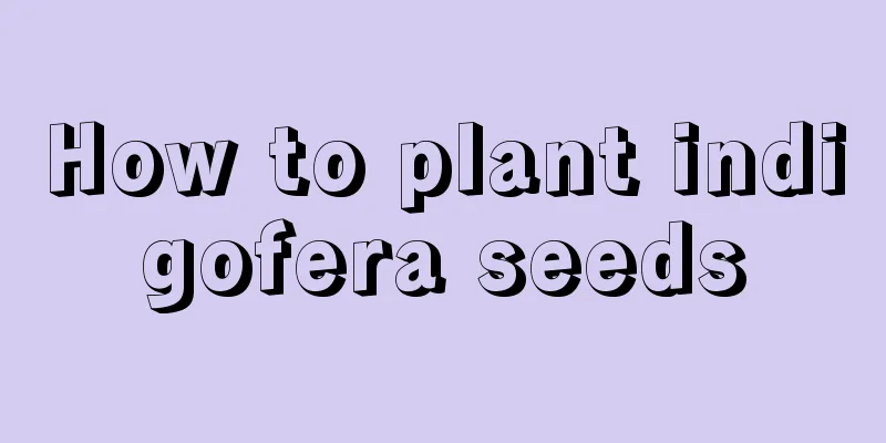 How to plant indigofera seeds