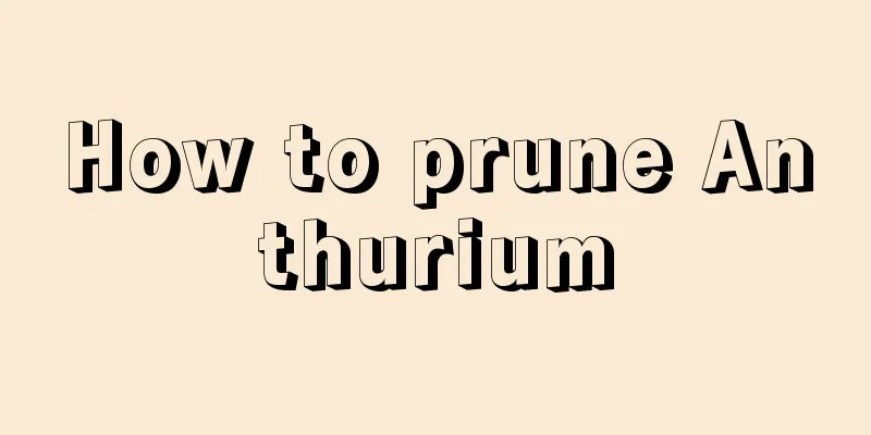 How to prune Anthurium