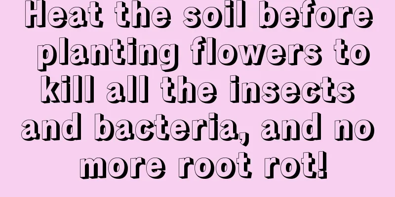 Heat the soil before planting flowers to kill all the insects and bacteria, and no more root rot!