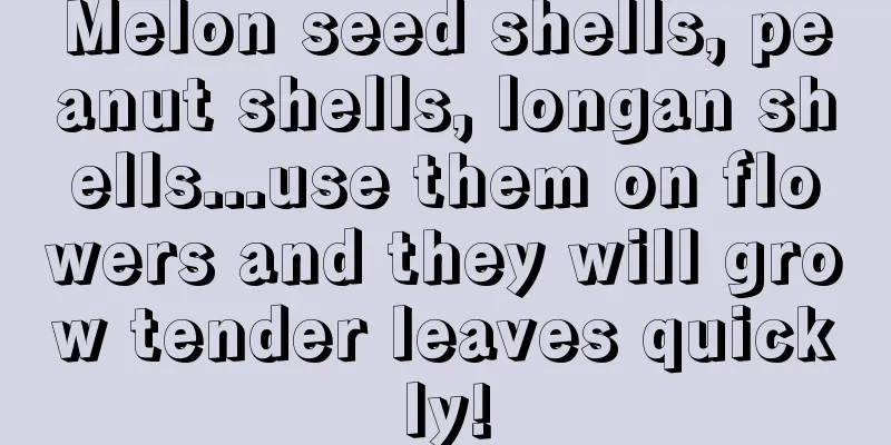 Melon seed shells, peanut shells, longan shells...use them on flowers and they will grow tender leaves quickly!