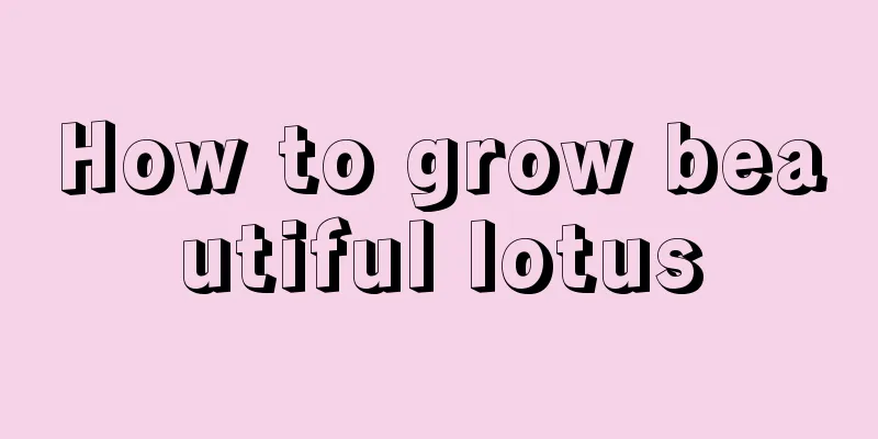 How to grow beautiful lotus