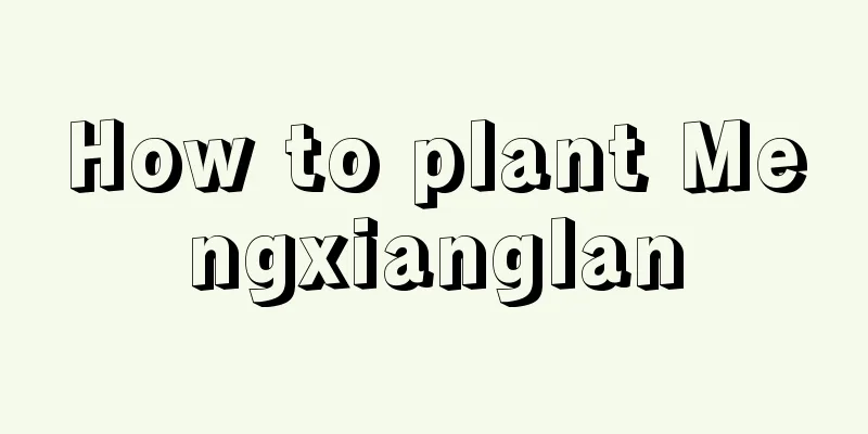 How to plant Mengxianglan