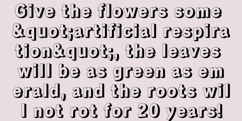 Give the flowers some "artificial respiration", the leaves will be as green as emerald, and the roots will not rot for 20 years!