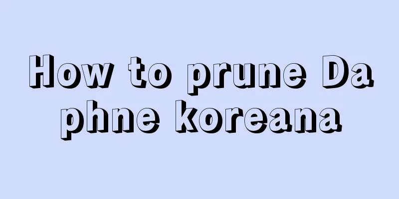 How to prune Daphne koreana